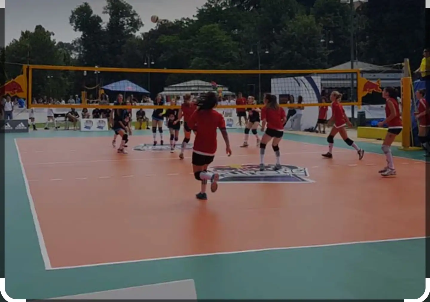 CAMPO VOLLEY - immagine 2